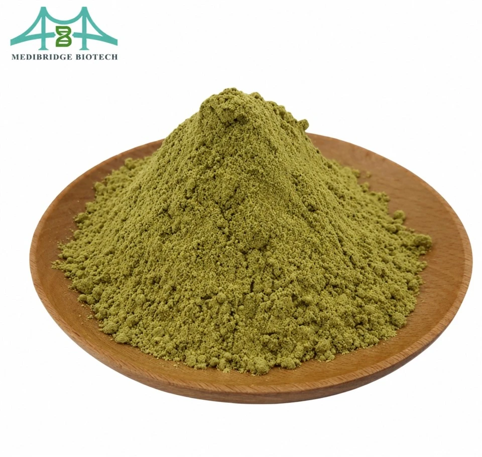 Yucca Extract Powder